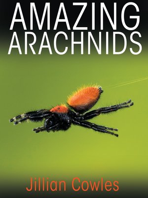 cover image of Amazing Arachnids
